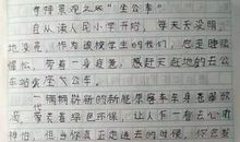 笑的作文450字