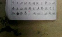 小学作文我的妈妈