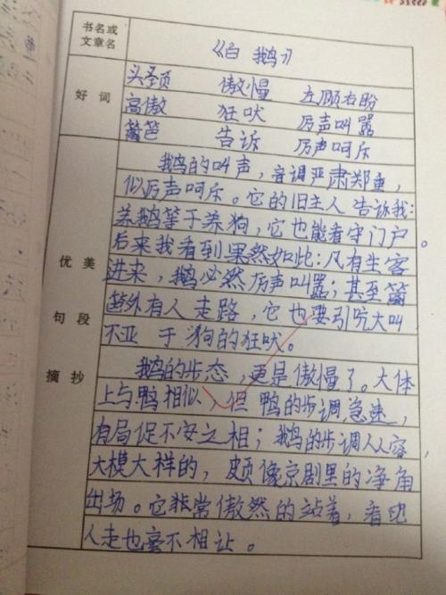 小学毕业后怎么写