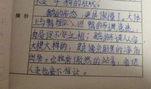 小学读后感怎么写