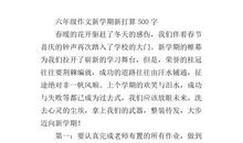 新学期计划作文