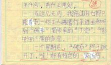 一次特别的学习经历作文