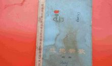 《给世界的请柬》读后感