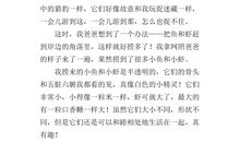 快乐的星期天作文600字