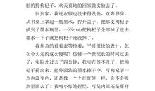 小学生作文一次有趣的实验