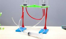 一次有趣的科学实验