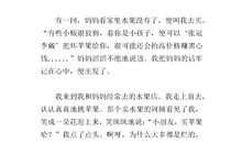 一次不平常的经历作文