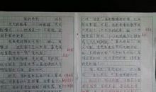 看雪作文700字