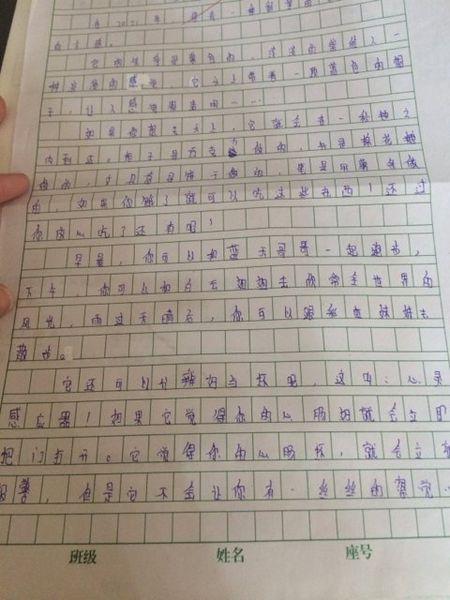 将来给我300个字