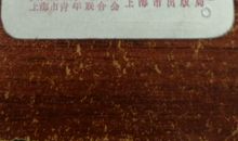 一枚书签初中作文