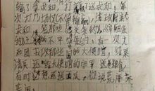 读圆明园的读后感