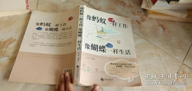 像蚂蚁一样工作