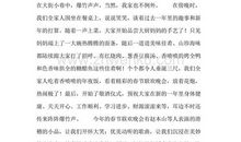 除夕之夜作文200字