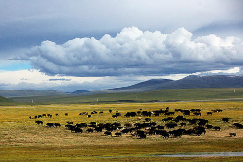 读书后渴望艰辛