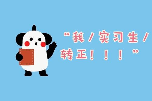 我完美的实习生