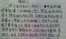 未来家乡环境作文