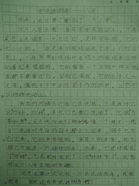 首作350字