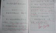 家乡的景物500字