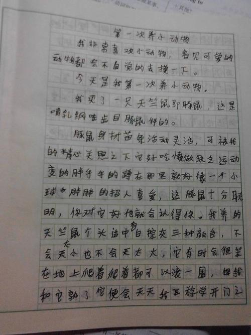 未来的桥梁构图500字