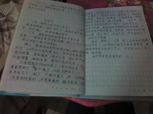 中秋节600字论文