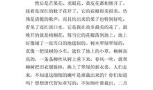 家乡的果园作文300字