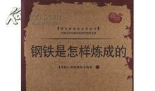 读《钢铁是怎样炼成的》后感