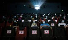 不做越位的职场萝卜