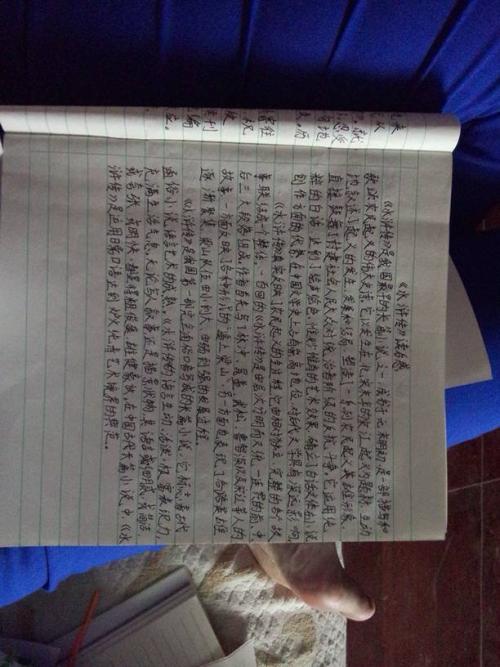 《水gin传》第九读