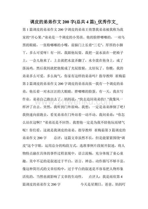 顽皮的兄弟组成