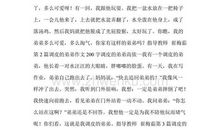 调皮的弟弟作文