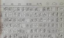 不乱扔垃圾的作文