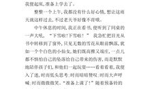 关于雪的作文450字