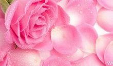 结婚时对老婆说的话