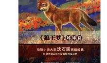 沈石溪的书读后感