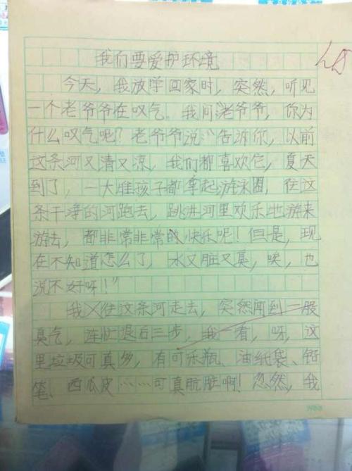 几年后的家乡环境组成