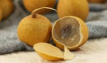 家乡的龙眼树作文