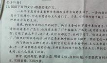 不一样的我作文800字