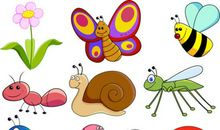 蚂蚁和蜜蜂读后感