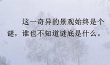 山谷里的朋友们读后感200字