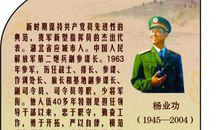 永恒的丰碑读后感