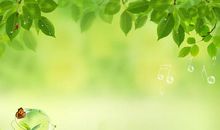 绿色环保作文600字