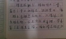 过年前的准备作文