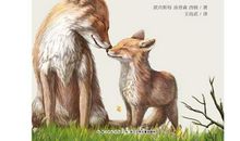 西顿野生动物故事读后感