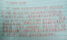 捡拾忽略的美好作文600字