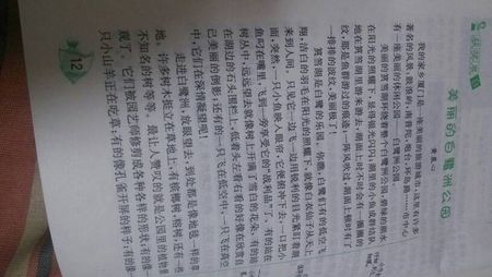 故乡风光作文150字