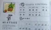 家乡的猕猴桃作文