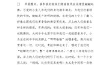 小学四年级暑假作文