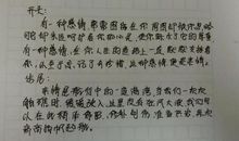 关于亲情的作文