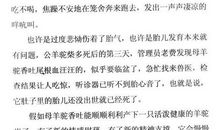 梅里山鹰的读后感