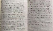 我给自己画张像作文